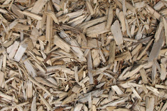 biomass boilers Beningbrough